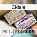 Cidala new12